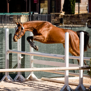 YHS Special - High Resolution Images Finals Only