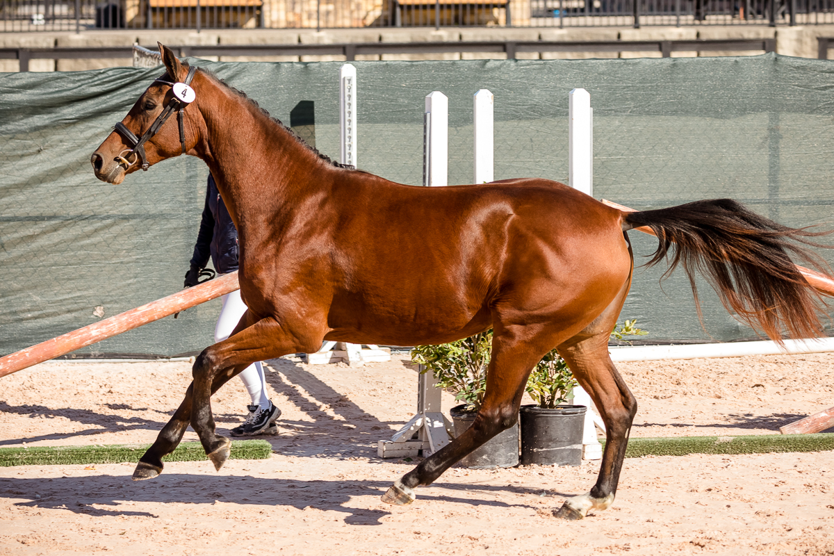 YHS Special - High Resolution Images Finals Only - Image 6