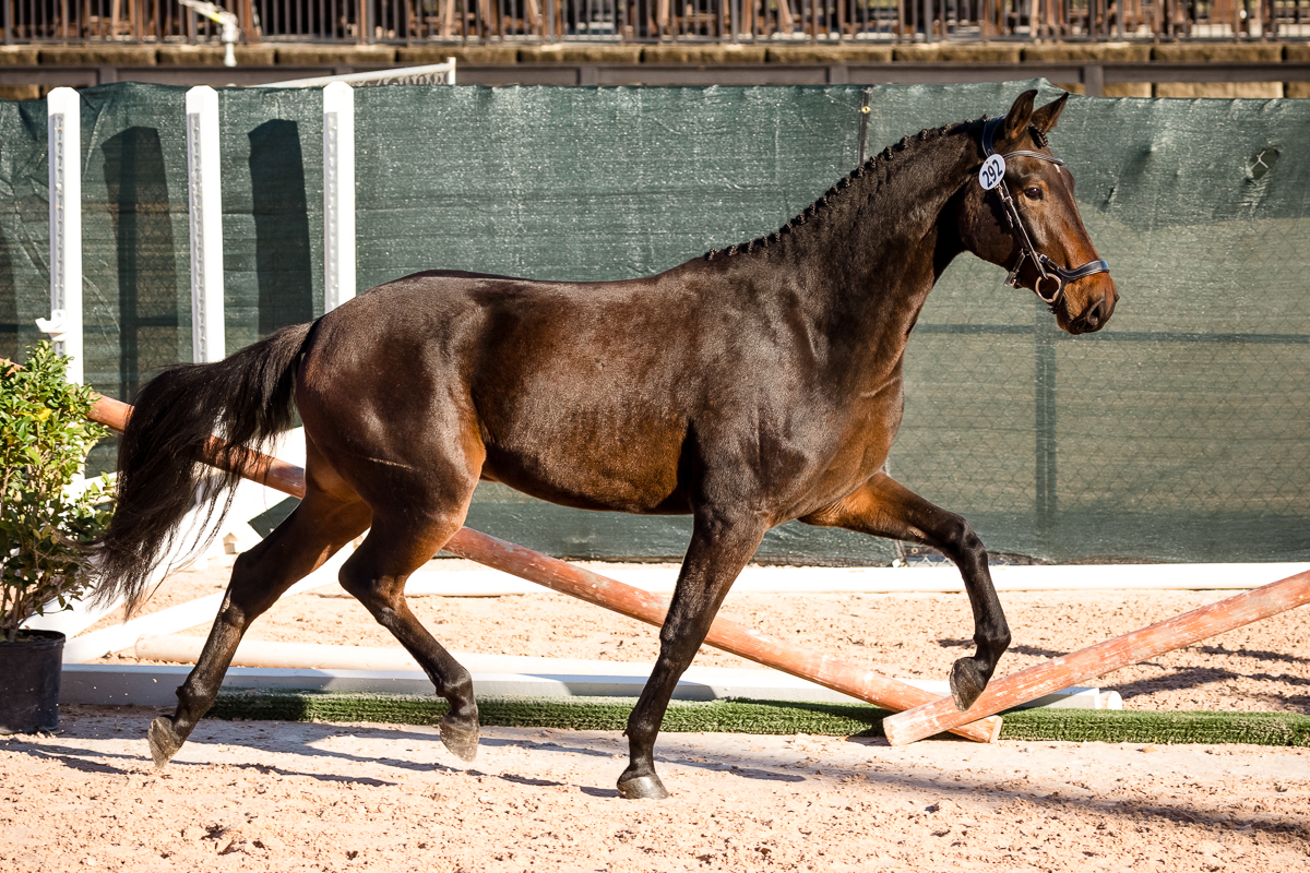 YHS Special - High Resolution Images Finals Only - Image 7