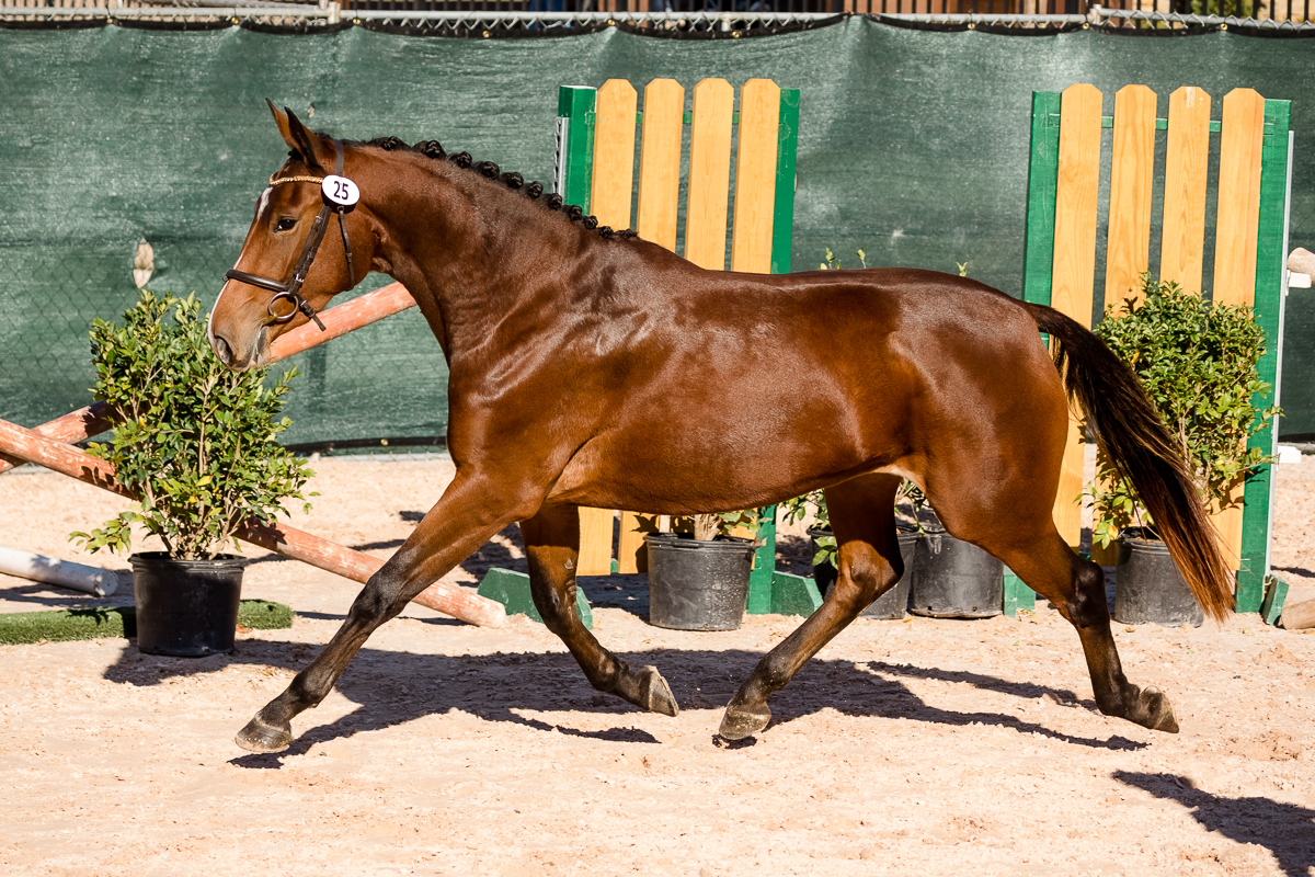 YHS Special - Social Media Images Finals Only - Image 7