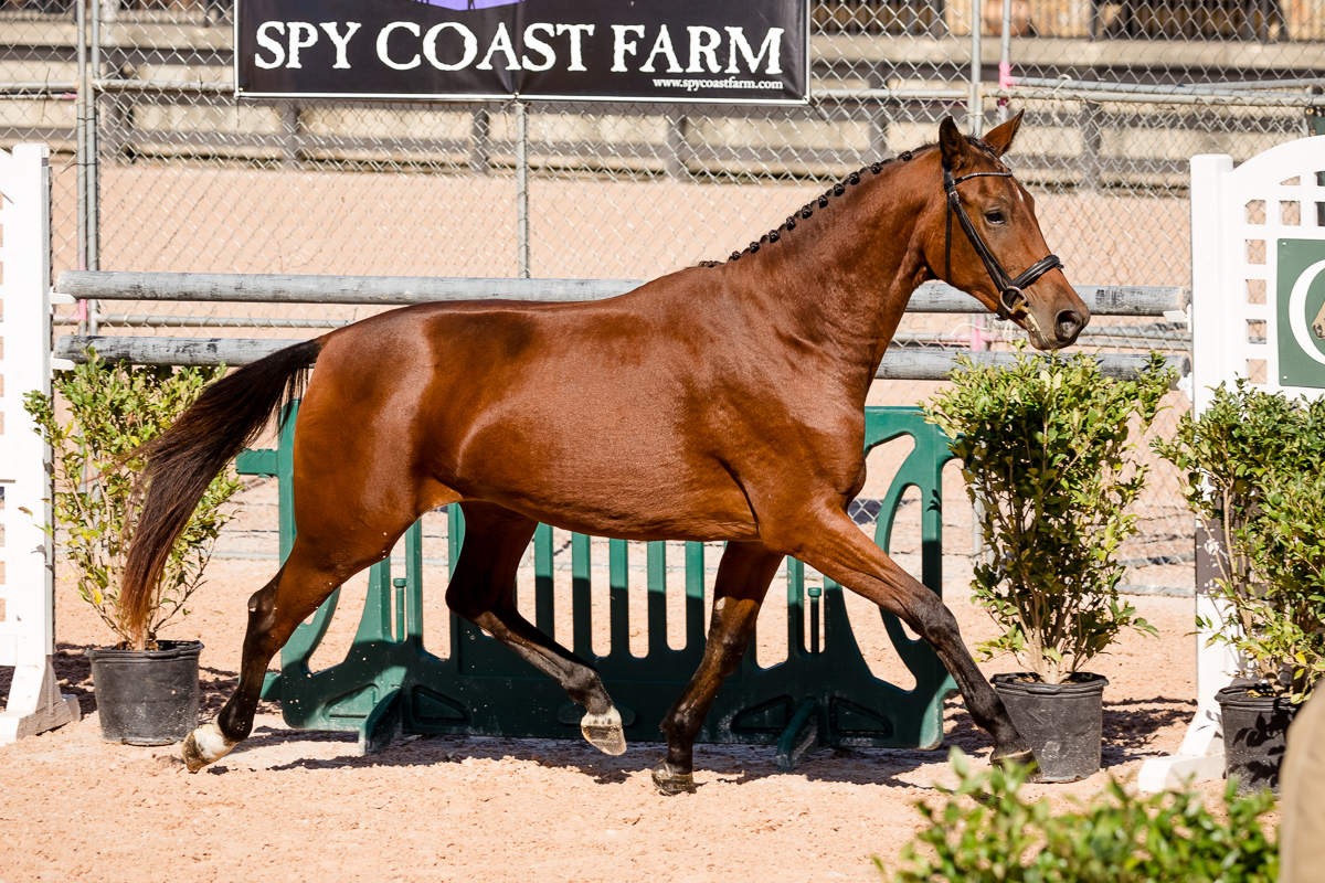 YHS Special - High Resolution Images Finals Only - Image 3