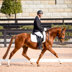 YHS Special - Social Media Images Full Show