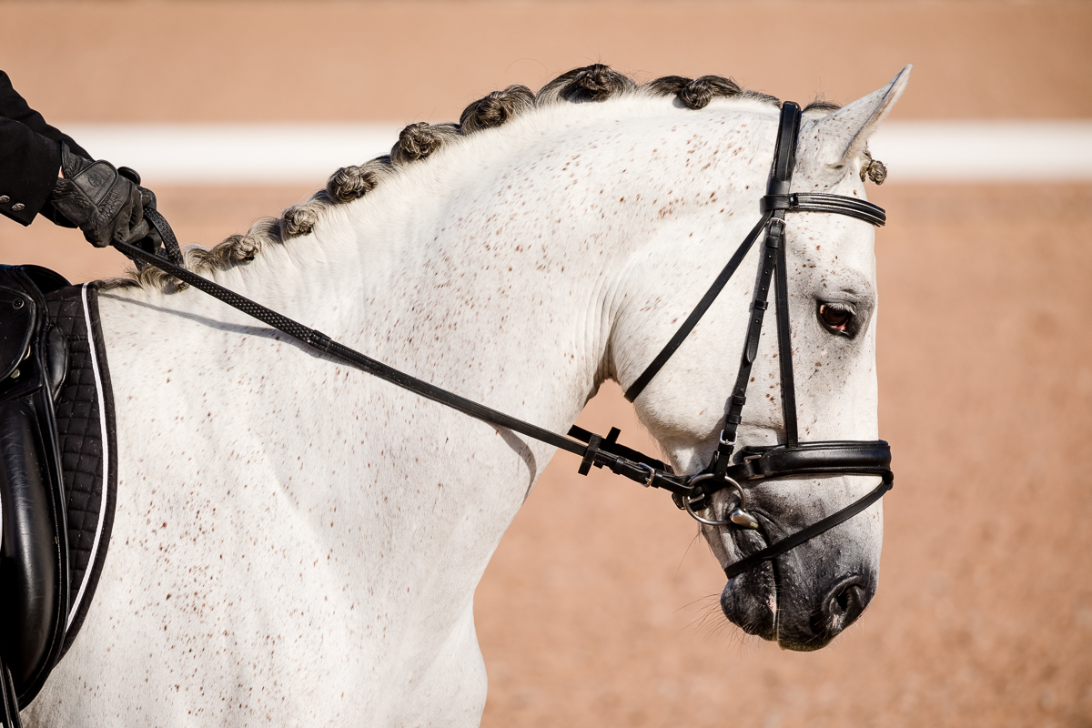 YHS Special - Social Media Images Finals Only - Image 4