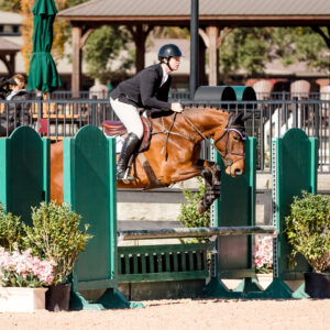 YHS Special - High Resolution Images Full Show