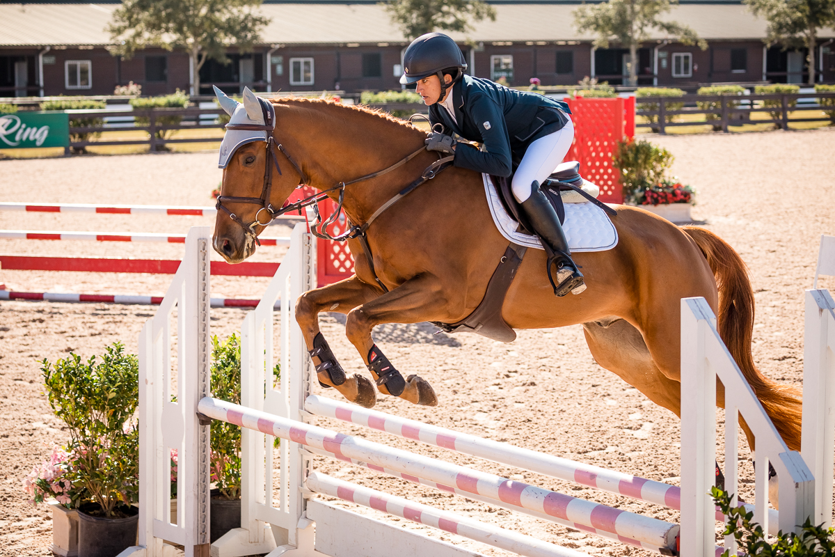 YHS Special - Social Media Images Finals Only - Image 3