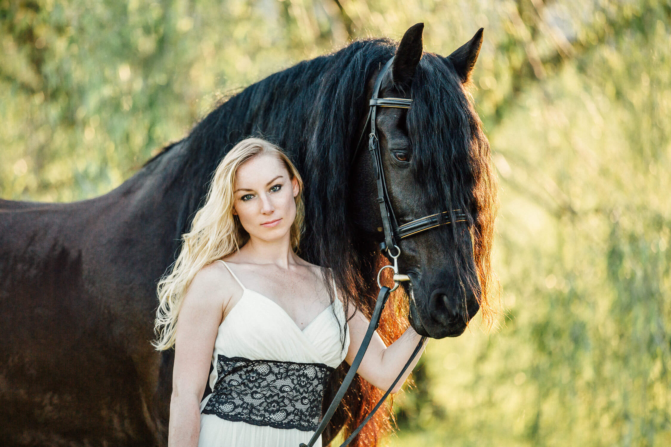 Black friesian horse and rider ready for photo session